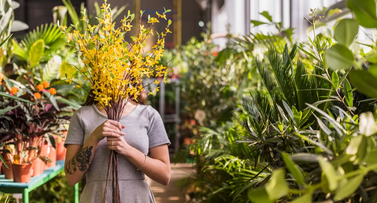 Atrakcje, ciekawostki, Pałer Flałer żyrardowski Wymiennik Kwiatowy sierpnia! - zdjęcie, fotografia