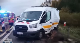 Łoś przyczyną dwóch wypadków w Morgach. Na szczęście&hellip;
