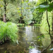 zdjęcie nr 