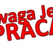 zdjęcie nr 