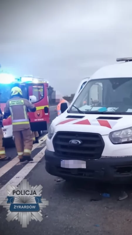 Łoś przyczyną dwóch wypadków w Morgach. Na szczęście nikt nie została ranny