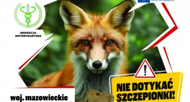 Jesienna akcja szczepień przeciwko wściekliźnie lisów na Mazowszu