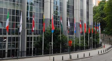 Wyniki Eurowyborów 2019 w Żyrardowie