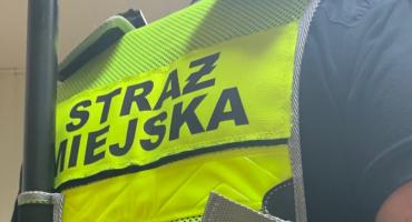 Kronika Straży Miejskiej 21.09.2019-27.09.2019