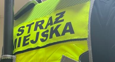 Kronika Straży Miejskiej 21.10- 27.10.2019