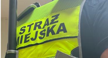 Kronika Straży Miejskiej 08 - 17.11.2019r.